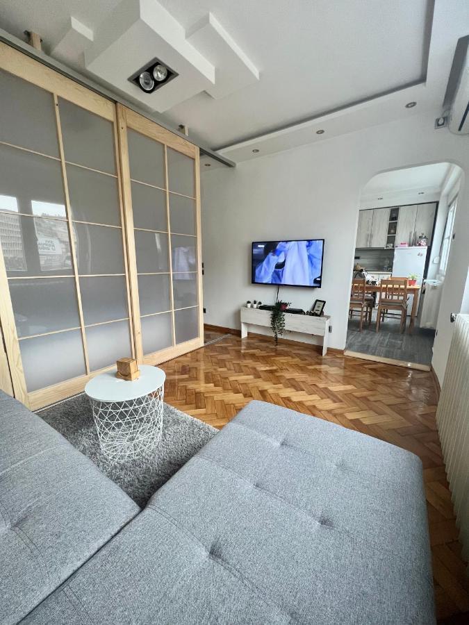 Comfortable Apartment In City Hub 贝尔格莱德 外观 照片