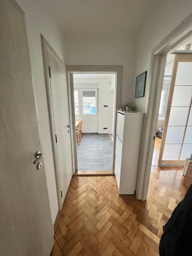 Comfortable Apartment In City Hub 贝尔格莱德 外观 照片