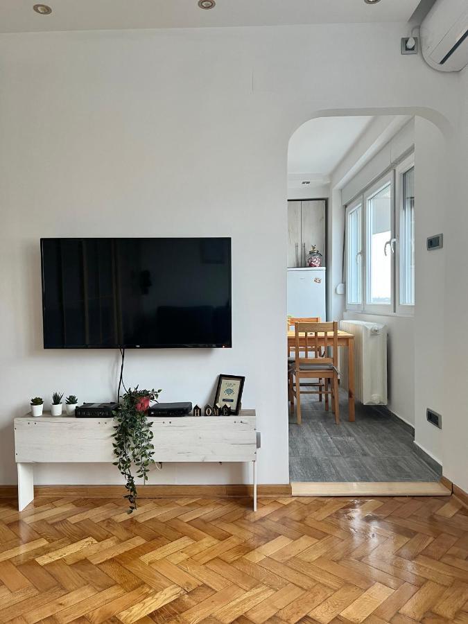 Comfortable Apartment In City Hub 贝尔格莱德 外观 照片