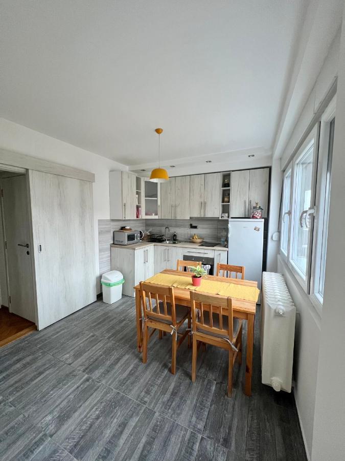 Comfortable Apartment In City Hub 贝尔格莱德 外观 照片
