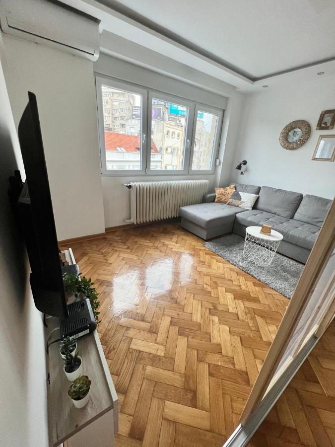 Comfortable Apartment In City Hub 贝尔格莱德 外观 照片