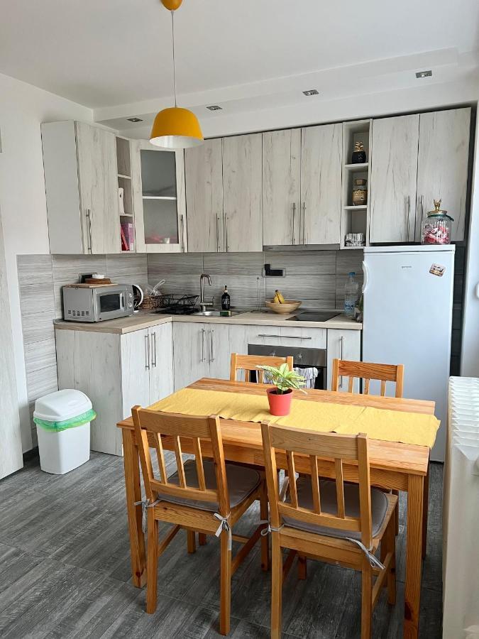 Comfortable Apartment In City Hub 贝尔格莱德 外观 照片