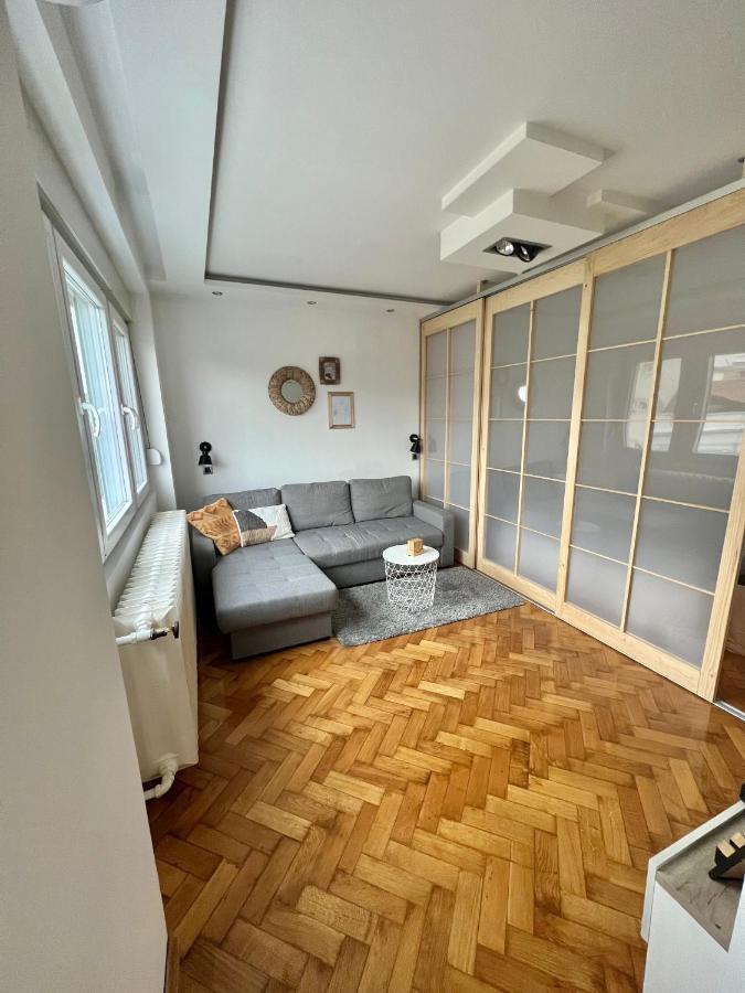 Comfortable Apartment In City Hub 贝尔格莱德 外观 照片